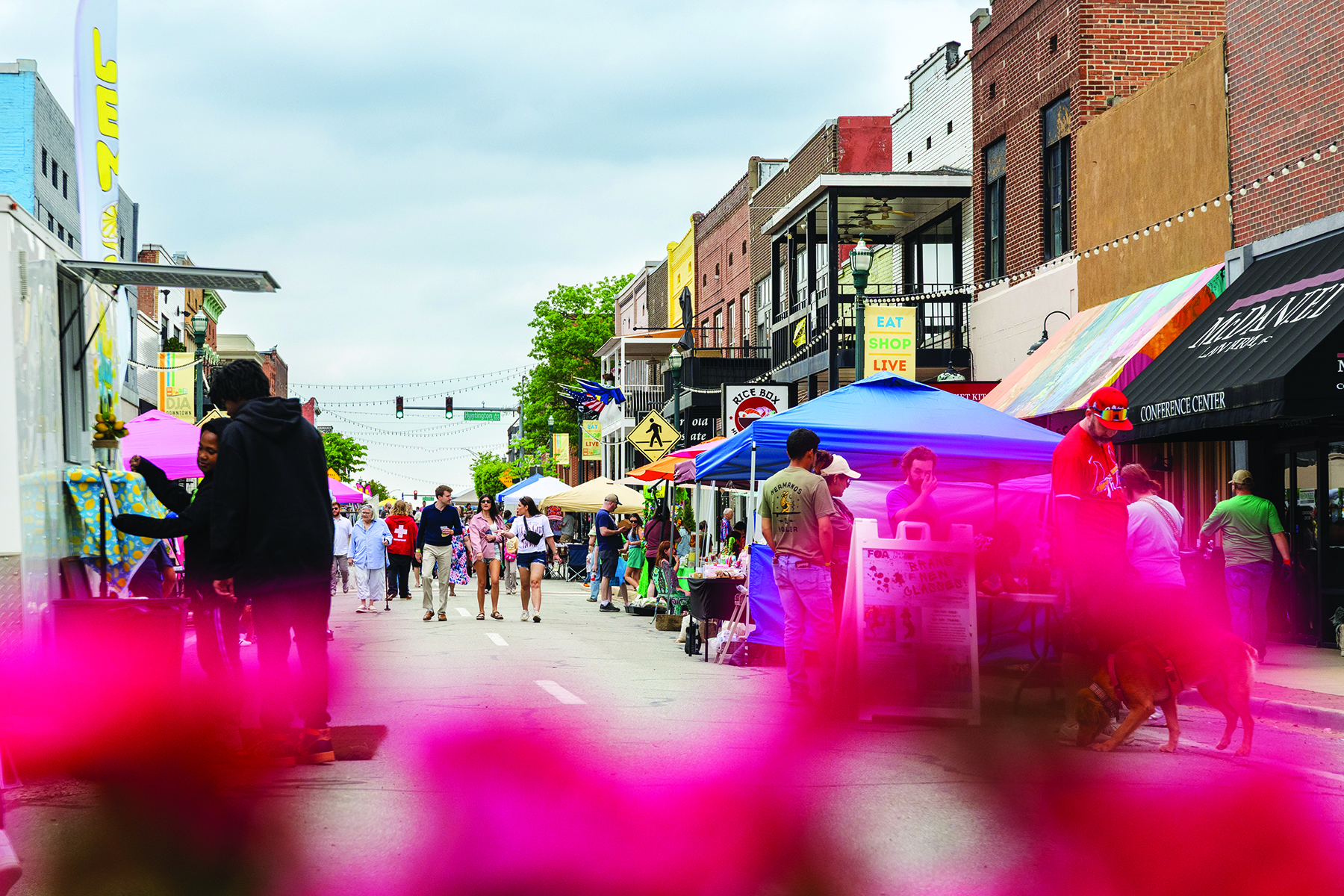 8th Annual Oasis Arts & Eats Fest